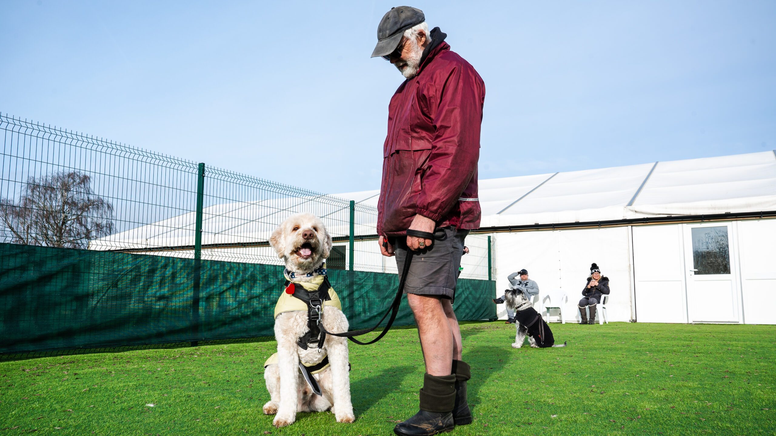 Empower Your Pet S Potential Crossroads Resort Training Programs