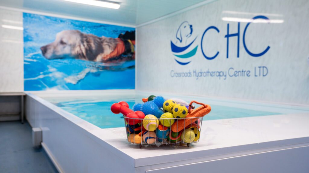 Hydrotherapy